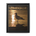 Seagull Sunset Matte Canvas Print (Framed)
