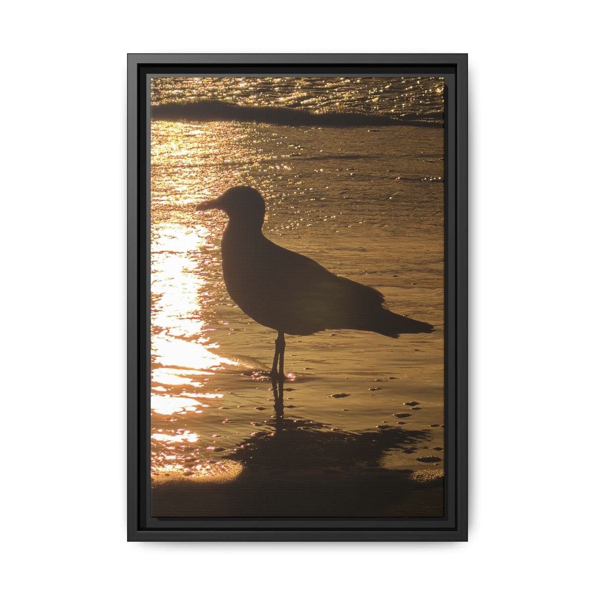 Seagull Sunset Matte Canvas Print (Framed)