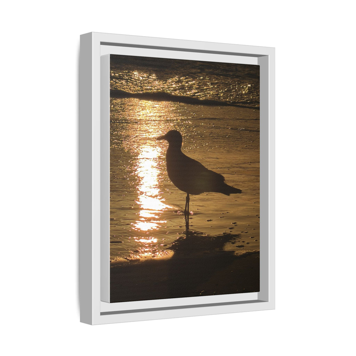 Seagull Sunset Matte Canvas Print (Framed)