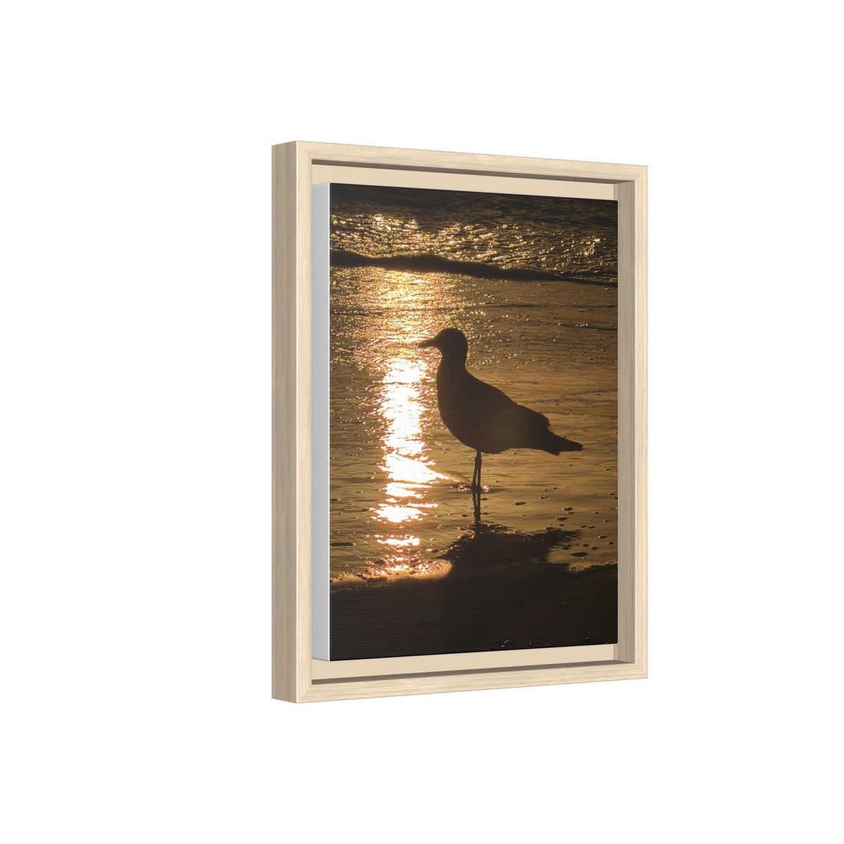 Seagull Sunset Matte Canvas Print (Framed)