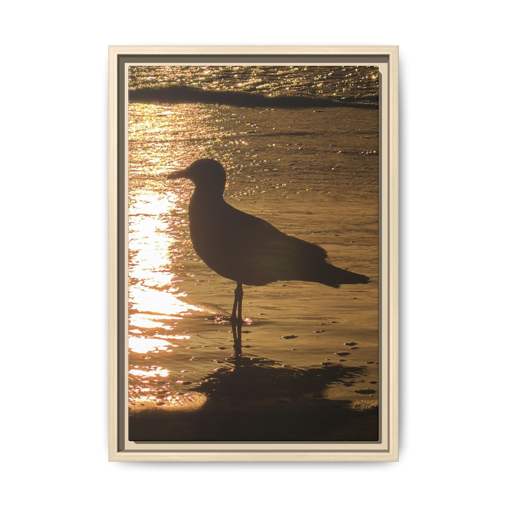 Seagull Sunset Matte Canvas Print (Framed)