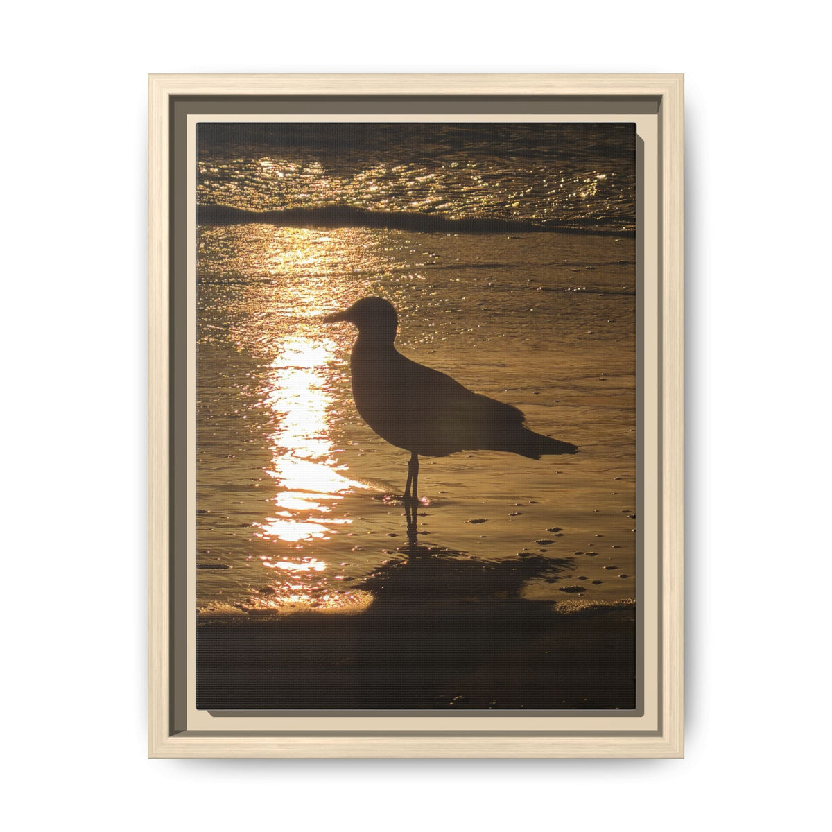Seagull Sunset Matte Canvas Print (Framed)