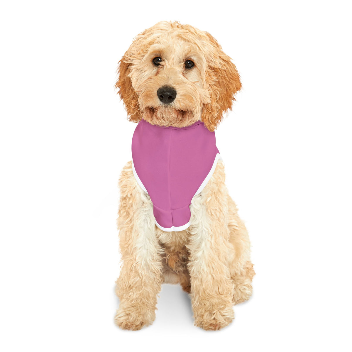 Pink Pet Hoodie with Custom Paw Studio Tattoo Logo