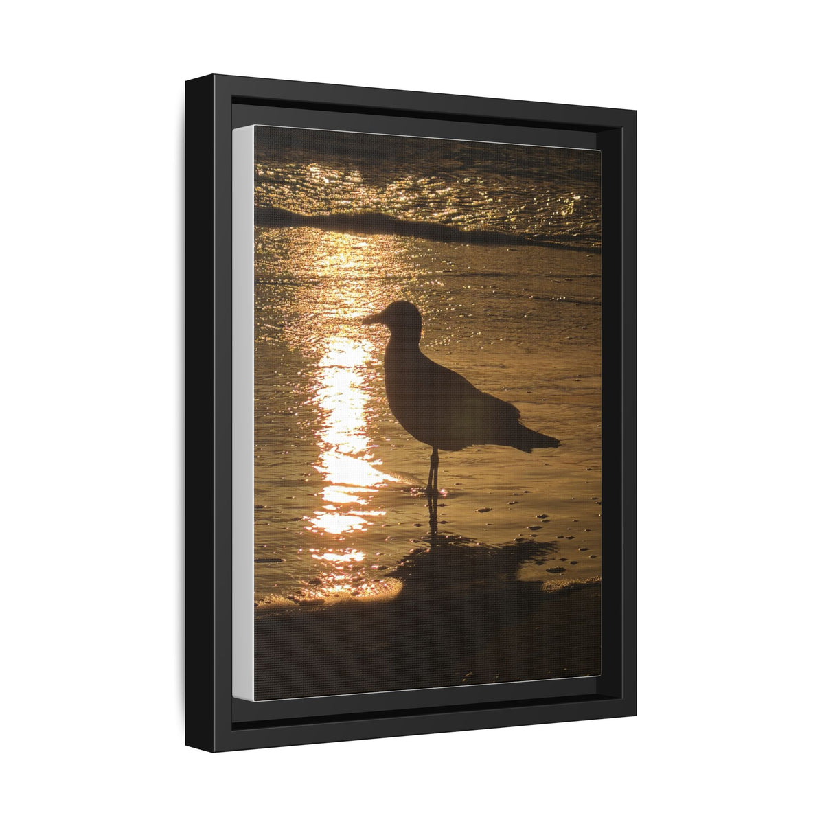 Seagull Sunset Matte Canvas Print (Framed)