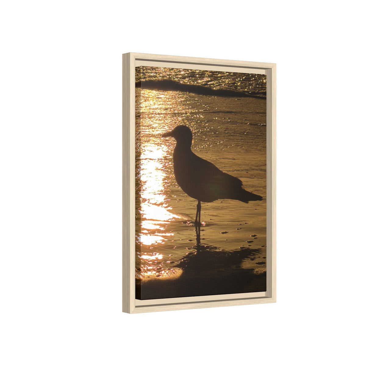 Seagull Sunset Matte Canvas Print (Framed)